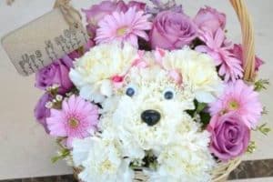 arreglos florales para niñas de perritos