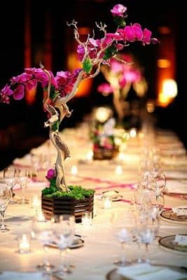 centros de mesa con plantas naturales con flores