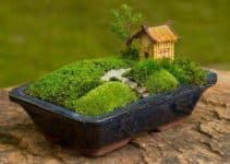 curiosos jardines japoneses en miniatura para decorar