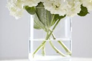4 flores blancas para centro de mesa de bodas
