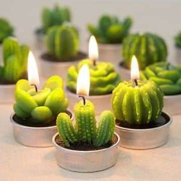 velas en forma de cactus diferentes