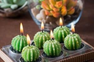 velas en forma de cactus para decorar