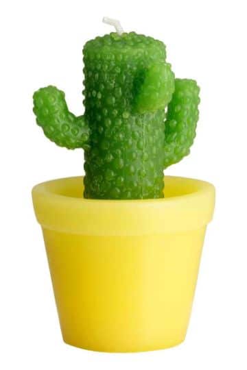 velas en forma de cactus para niñas