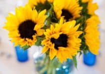 4 estilos de centros de mesa de girasoles para boda