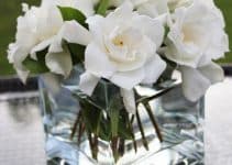 3 diferentes centros de mesa con gardenias para tus celebraciones