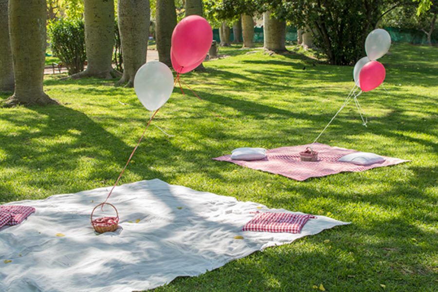 picnic de cumpleaños sencillo ideas de mesas